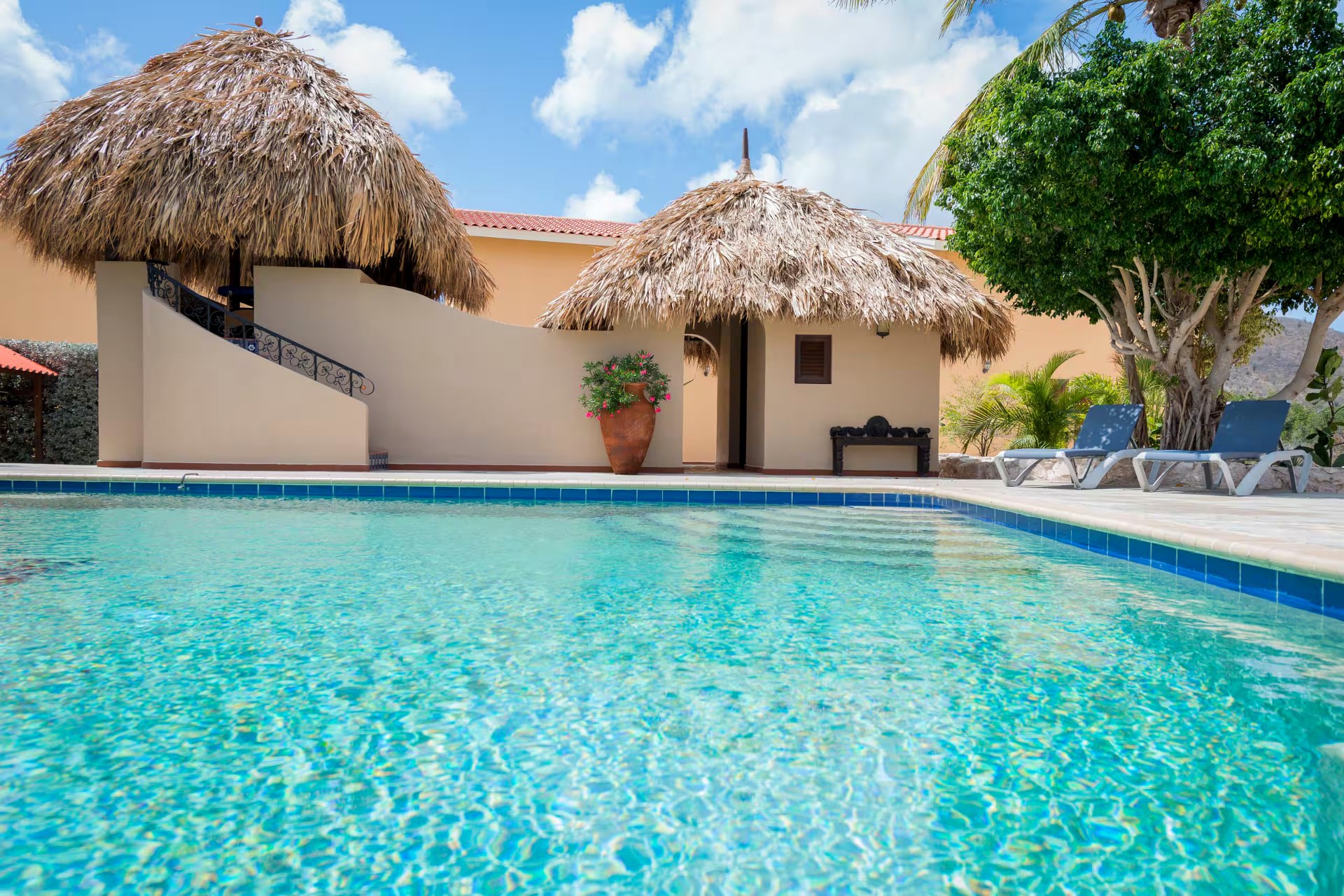 Shared main pool with thatched palapas and sun beds