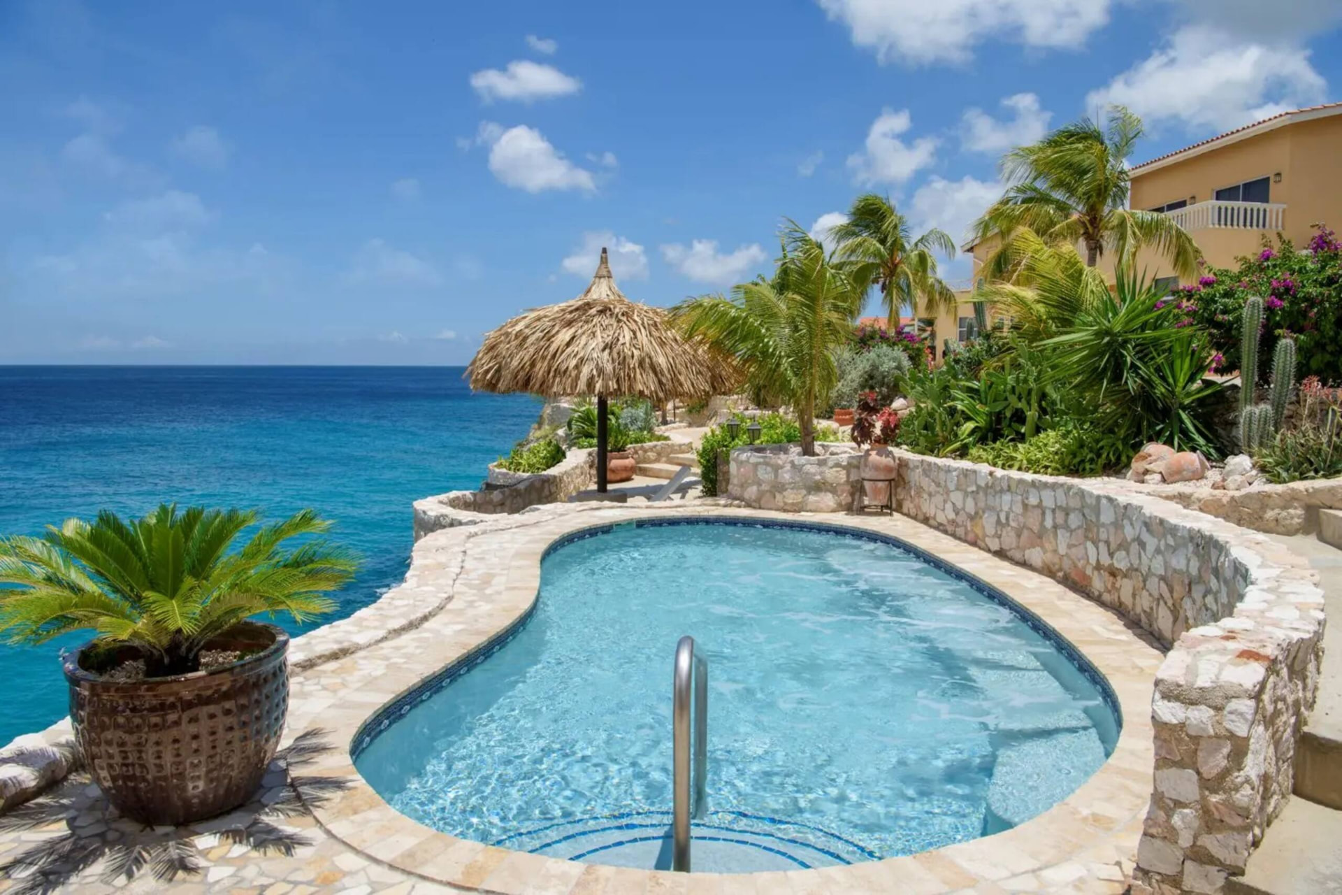 The shared cliff-edge pool above the Caribbean Sea with a thatched palapa, palms and bougainvillea