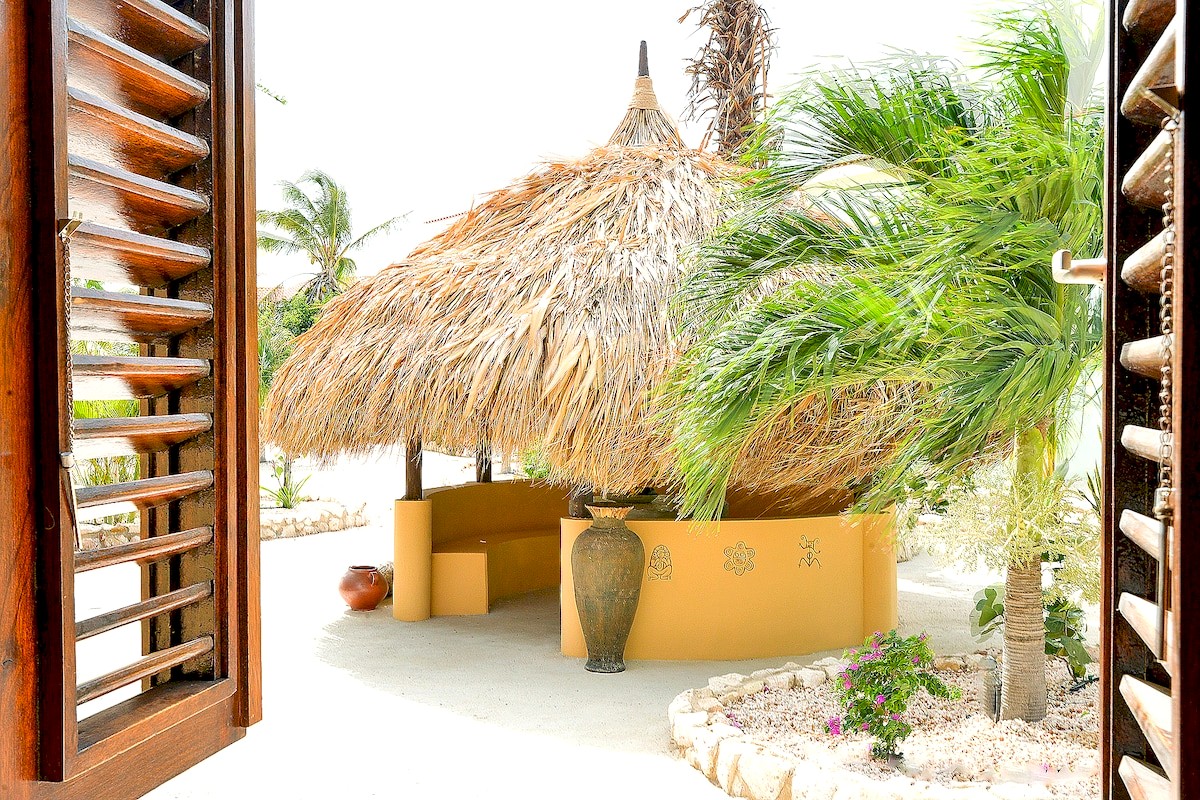 A thatched palapa and palm seen through dark wooden louvered shutters